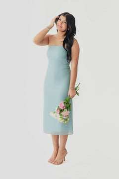 Crescent Zeah Organza Tube Midi Dress