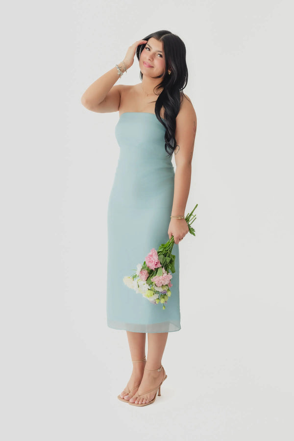 Crescent Zeah Organza Tube Midi Dress